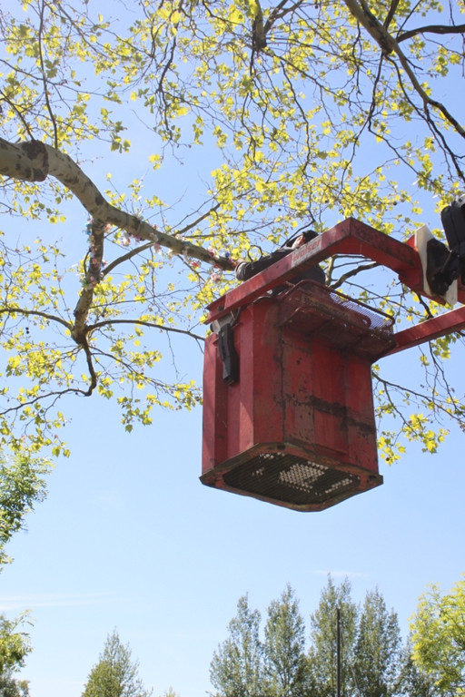 Schnullerbaum Mai 2013 _12__jpg-1369723975