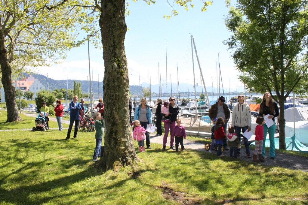 Schnullerbaum Mai 2013 _13__jpg-1369723982