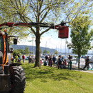 Schnullerbaum Mai 2013 _15__jpg-1369723998