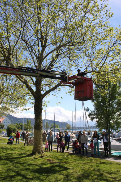 Schnullerbaum Mai 2013 _14__jpg-1369723990