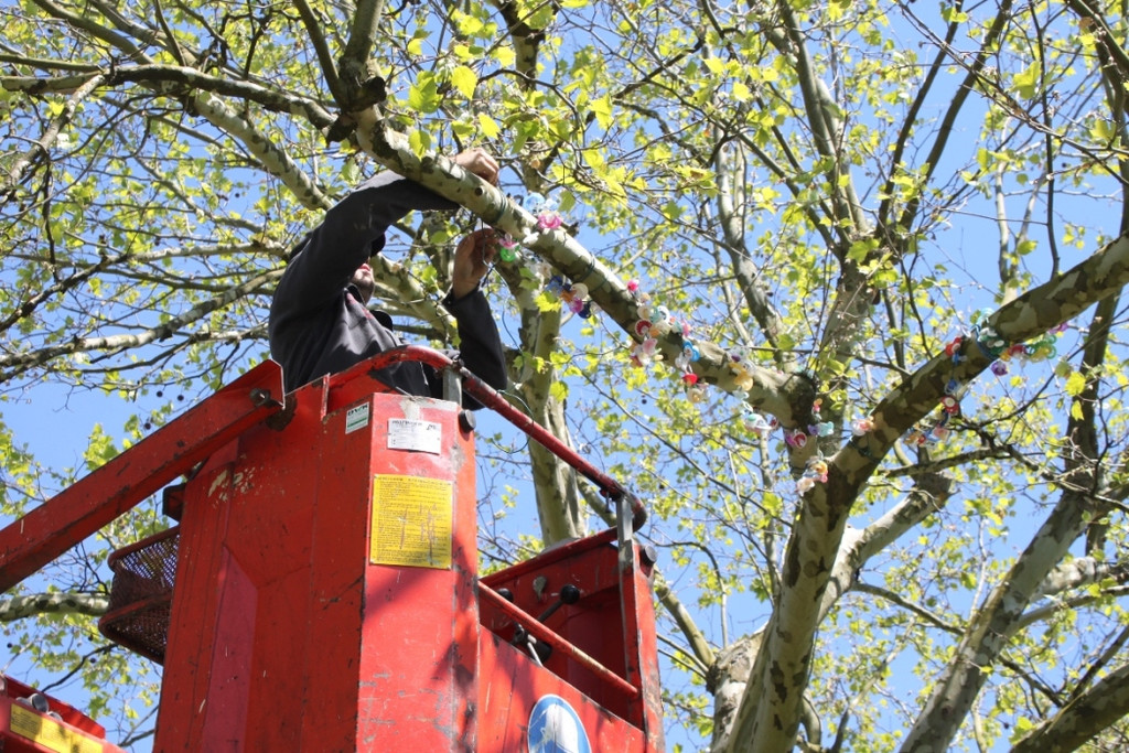 Schnullerbaum Mai 2013 _17__jpg-1369724013