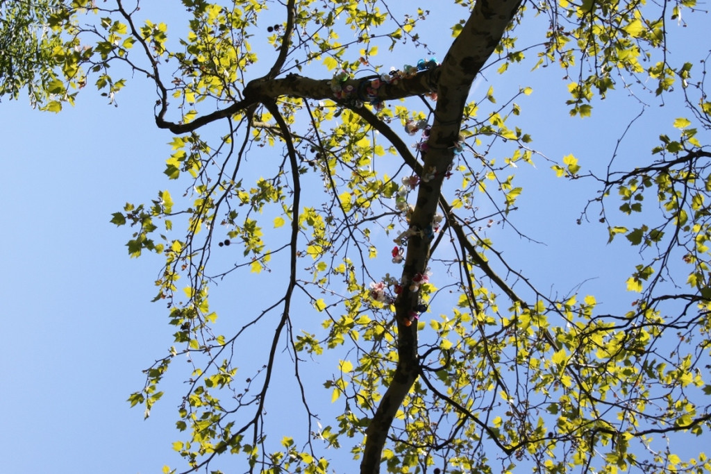 Schnullerbaum Mai 2013 _24__jpg-1369724061