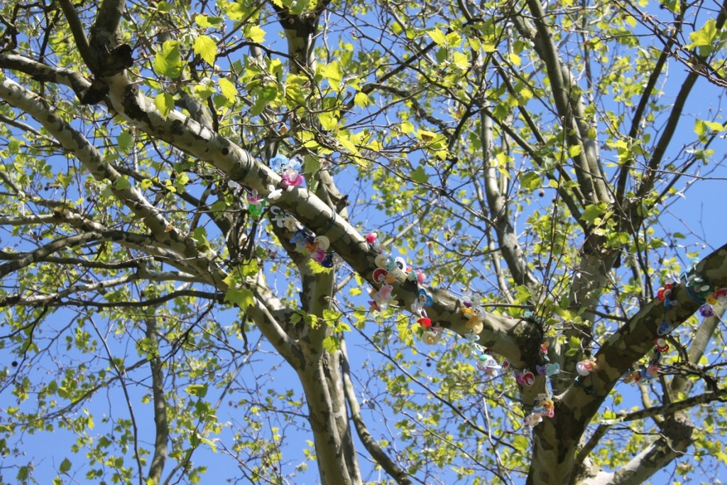 Schnullerbaum Mai 2013 _18__jpg-1369724020