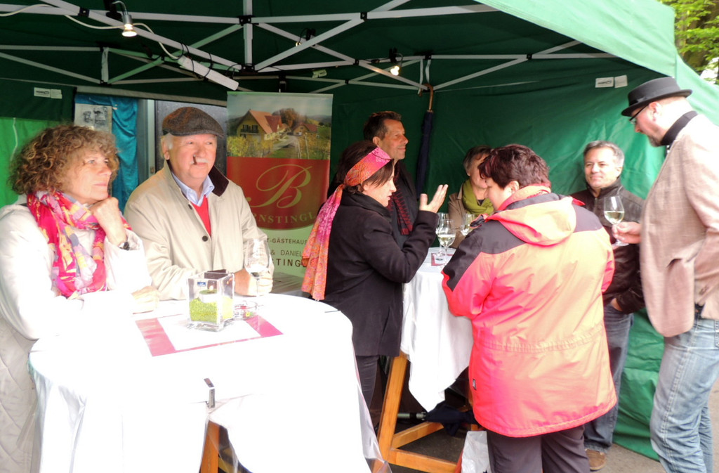 DSCN2661_JPG-1369757423