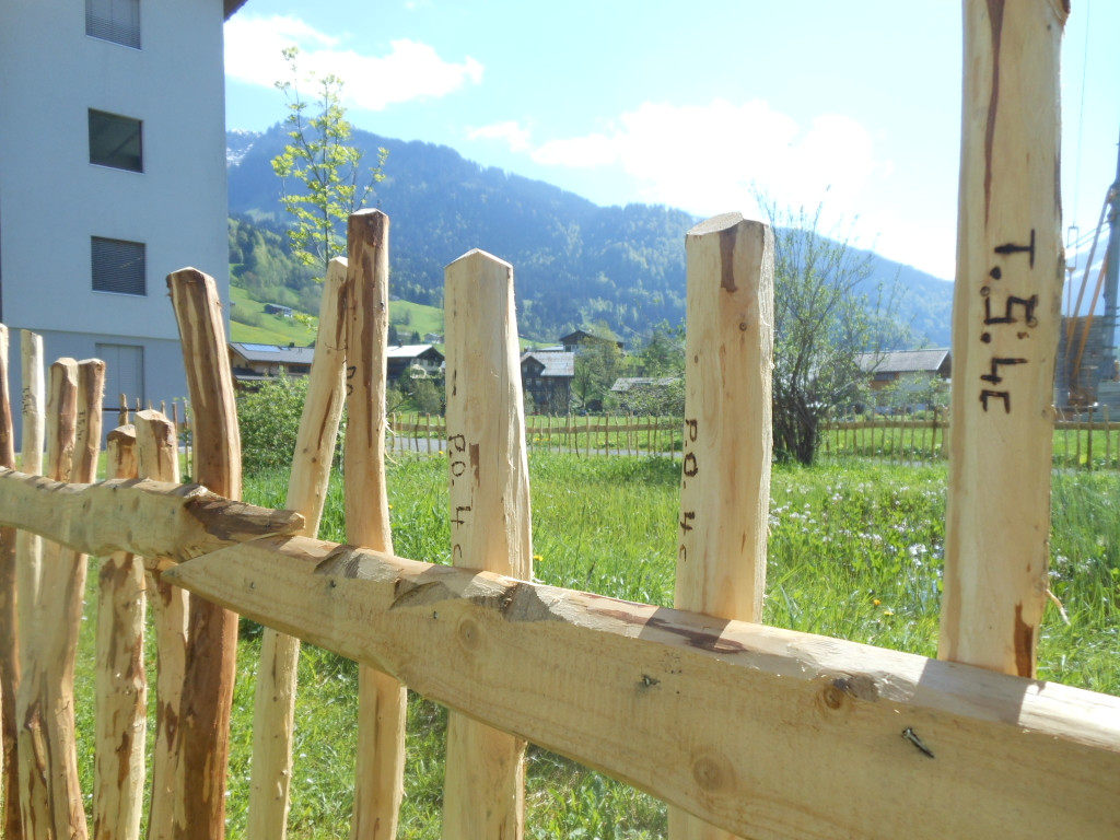 DSCN0778.jpg