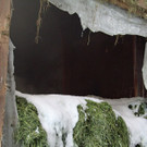 IMG_6188.JPG