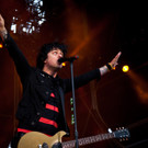 Green Day _8 von 18_.jpg