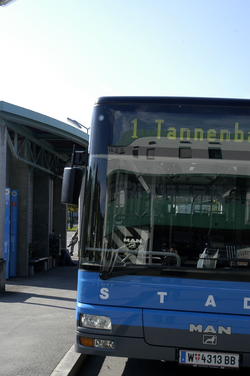 DSC_6335_jpg-1369914264