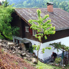 Hangrutsch in Dornbirn