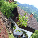 IMG_6200.JPG