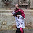 kirche st_ stephan kardinals dompfarrer diplomat _5_.JPG
