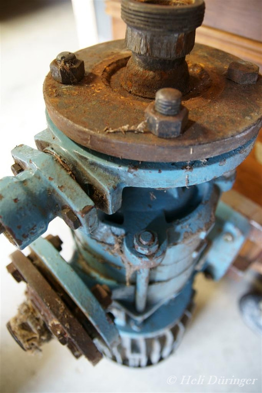 DSC01887 _Large__001.JPG