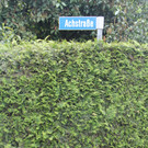 Achstra__e_1_jpg-1369982989
