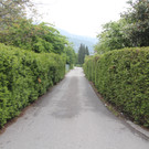 Achstra__e_2_JPG-1369982994