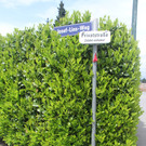 Josef Lins Weg_1_jpg-1369983317