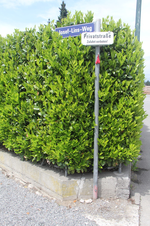 Josef Lins Weg_1_jpg-1369983317