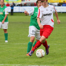 IMG_5996_jpg-1369994571