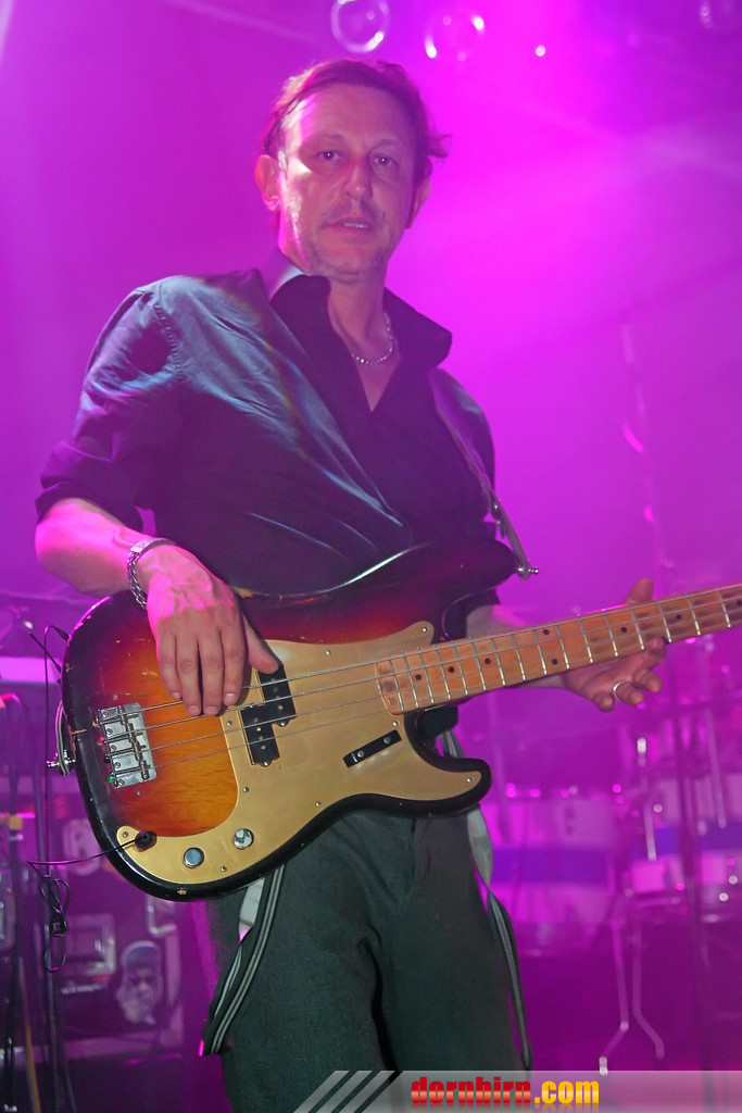 12914845.jpg