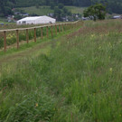 DSC00001_JPG-1369996516
