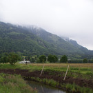 DSC09994_jpg-1369996781