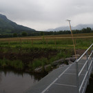 DSC09995_JPG-1369996850