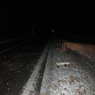 normal_05031001B1Straswgaaktivnews_0009.jpg