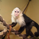 ABD0084-20130531.jpg