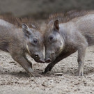 ABD0013-20130525.jpg