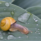 ABD0113-20130526.jpg