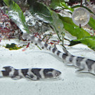 ABD0022-20130528.jpg