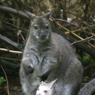 ABD0071-20130529.jpg