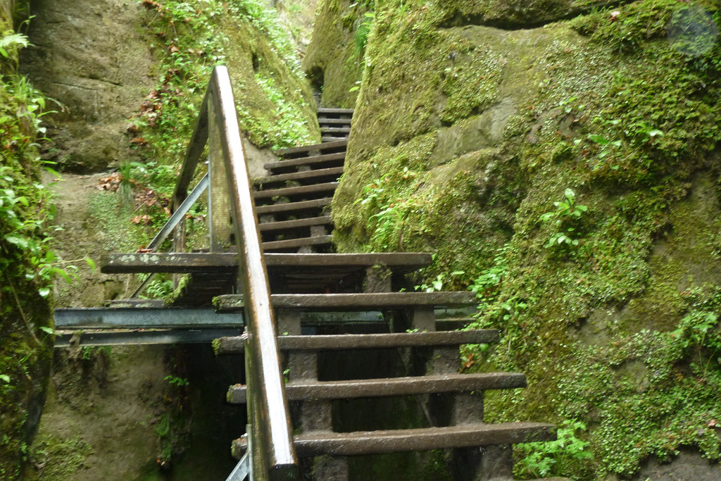 P1020153.JPG