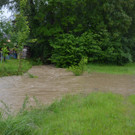 31052013_Hochwasser NOE _1_.JPG
