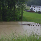 31052013_Hochwasser NOE _16_.JPG