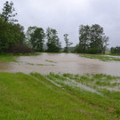 31052013_Hochwasser NOE _2_.JPG