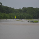 31052013_Hochwasser NOE _3_.JPG