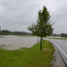 31052013_Hochwasser NOE _4_.JPG