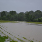 31052013_Hochwasser NOE _6_.JPG