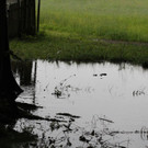 31052013hochwasserde05012aktivnews_ 038.JPG