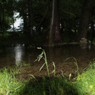 31052013hochwasserde05012aktivnews_ 078.JPG
