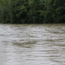 31052013hochwasserde05012aktivnews_ 063.JPG