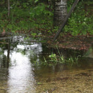 31052013hochwasserde05012aktivnews_ 032.JPG