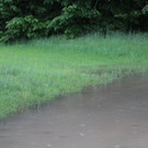 31052013hochwasserde05012aktivnews_ 003.JPG