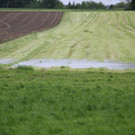 31052013hochwasserde05012aktivnews_ 021.JPG