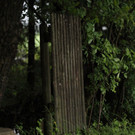 31052013hochwasserde05012aktivnews_ 033.JPG