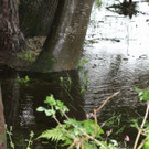 31052013hochwasserde05012aktivnews_ 025.JPG