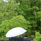 ABD0108-20130531.jpg