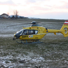 normal_05031092kotgumpregaaktivnews_0002.jpg