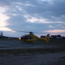 normal_05031092kotgumpregaaktivnews_0031.jpg