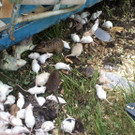ABD0017-20130601.jpg